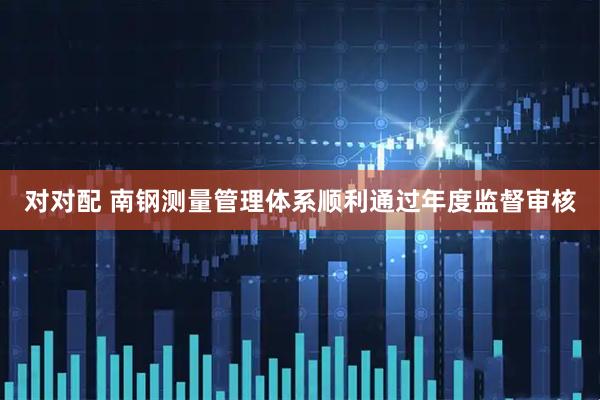 对对配 南钢测量管理体系顺利通过年度监督审核