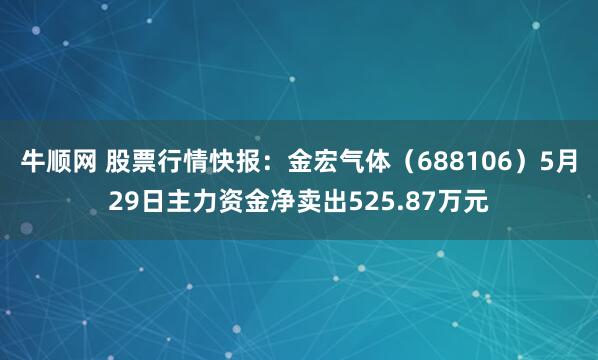牛顺网 股票行情快报：金宏气体（688106）5月29日主力资金净卖出525.87万元