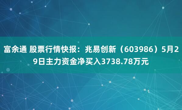 富余通 股票行情快报：兆易创新（603986）5月29日主力资金净买入3738.78万元