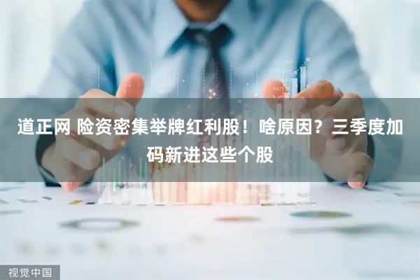 道正网 险资密集举牌红利股！啥原因？三季度加码新进这些个股